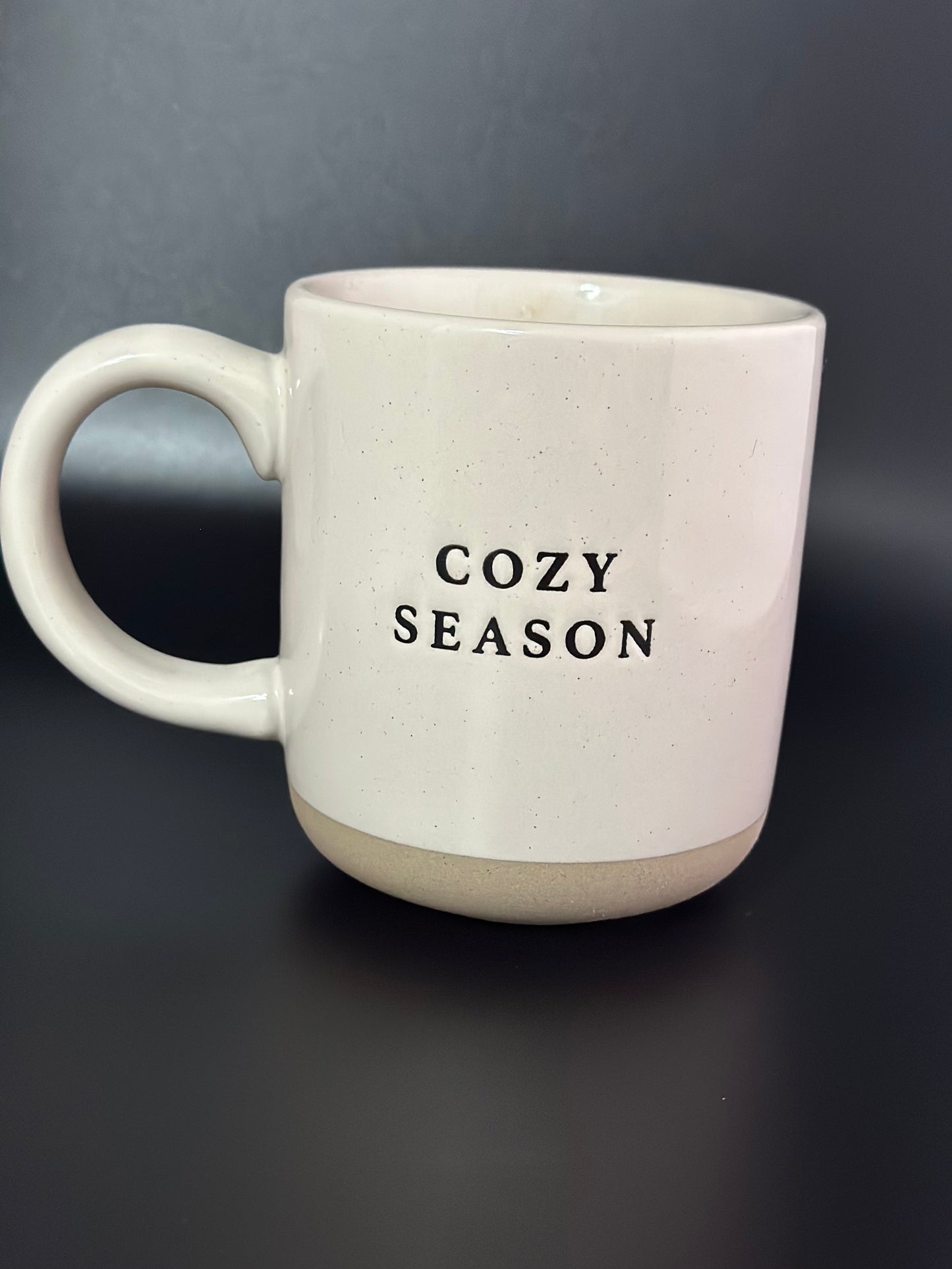 Cozy Season Stoneware Coffee Mug