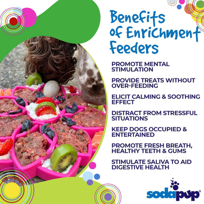 Mandala Design eTray Enrichment Tray for Dogs