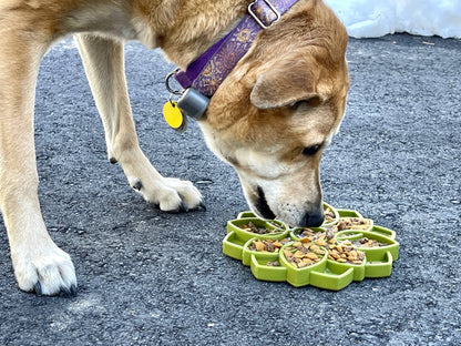 Mandala Design eTray Enrichment Tray for Dogs