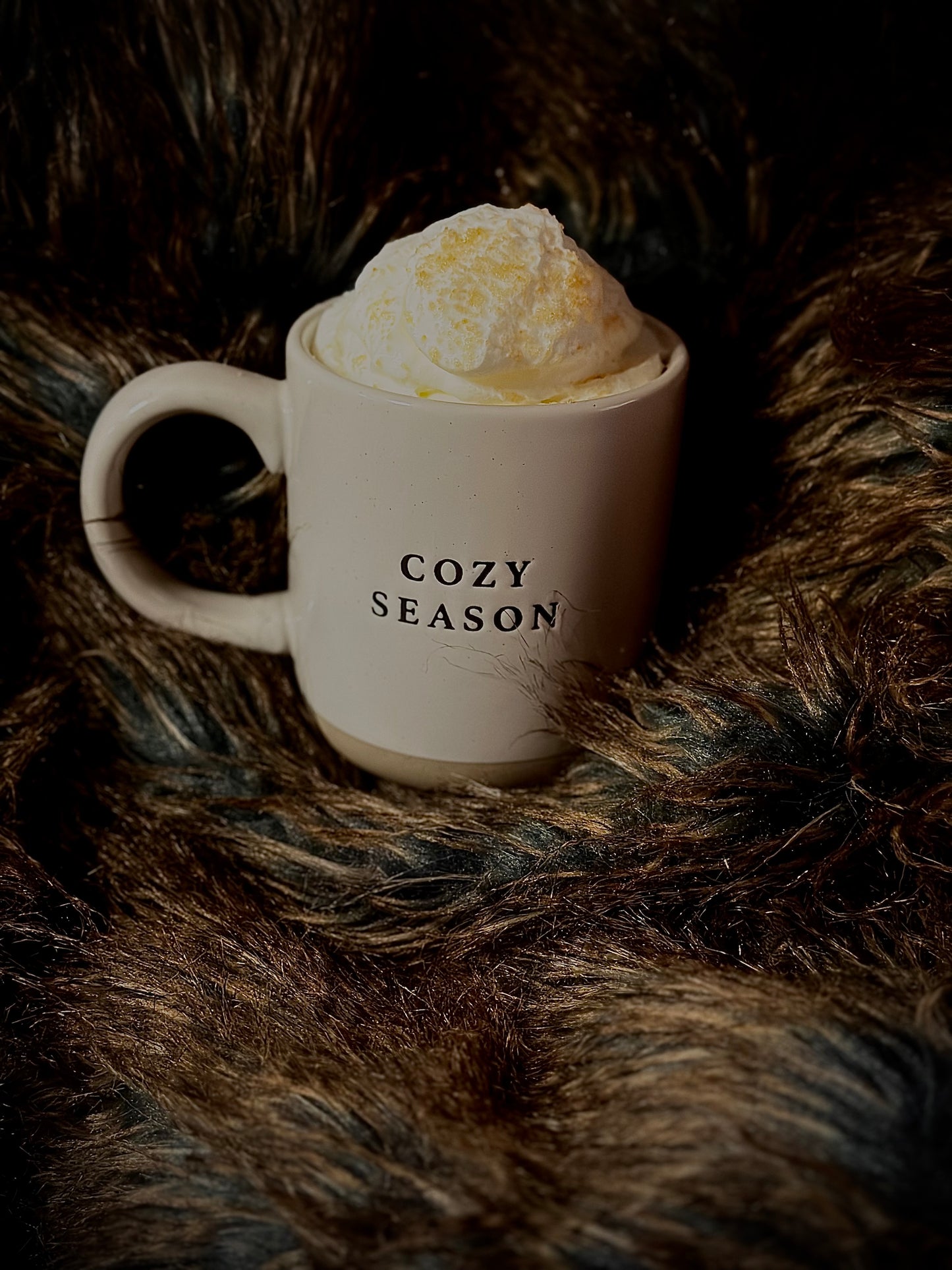 Cozy Season Stoneware Coffee Mug