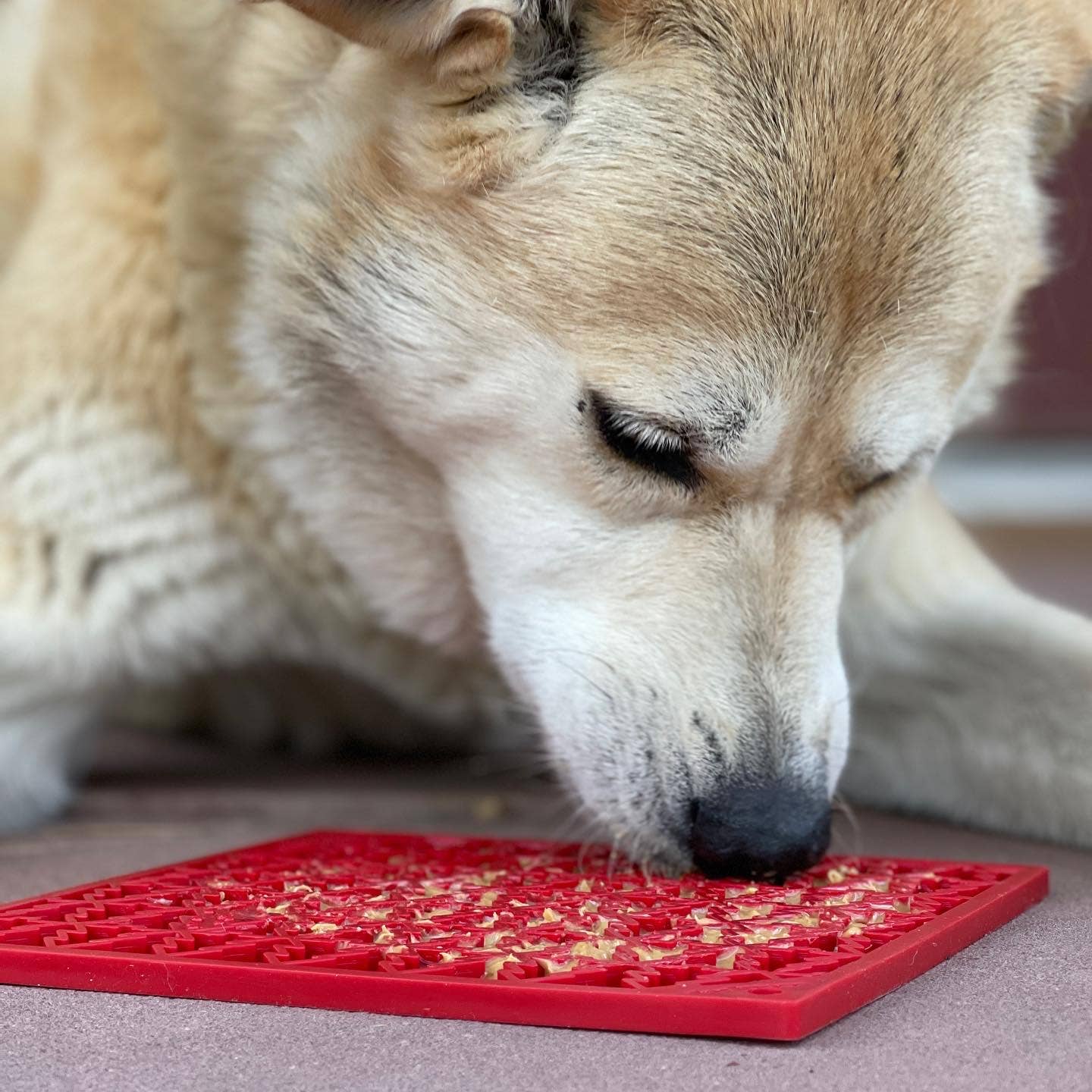 Tree Design "Peace" eMat Enrichment Lick Mat