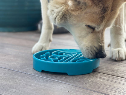 Baja Design eTray Shallow Slow Feeder Bowl for Dogs