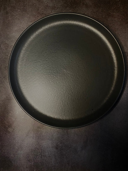 Pacifica Seed Grey Dinner Plate